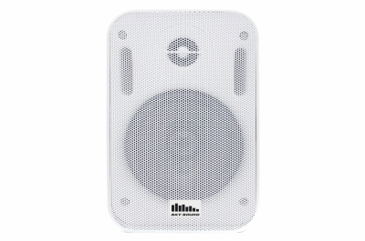 PM-2401 White Wall Speaker