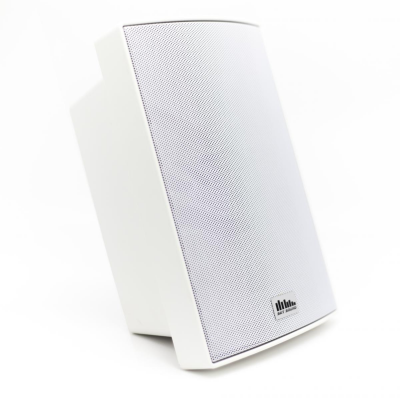 PM-3000 Wall-Mounted Speaker