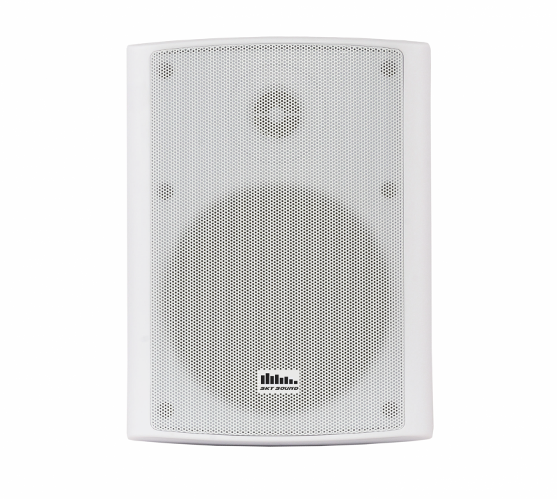 Foto1 NSA-30W ACTIVE+WI-FI Wall Speaker L