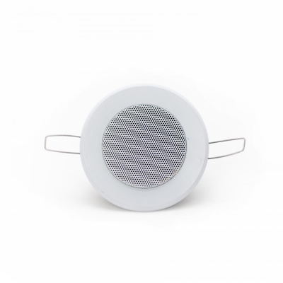 TS-1010 Small Ceiling Speaker